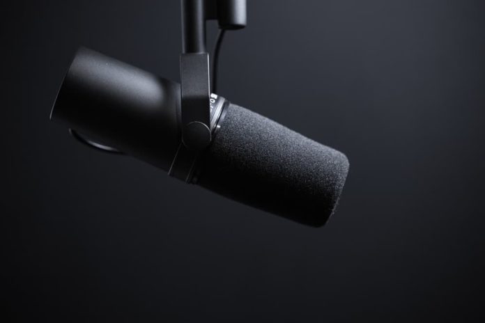 How to stop mic from picking up sound output?