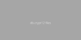 What are db.crypt12 files in the Whatsapp Databases folder?